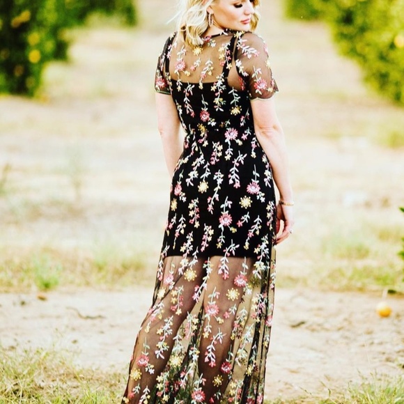 Sheer Lace Dress Overlay - Picture 1 of 4